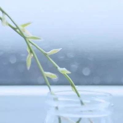 乱世争霸手游果盘版下载