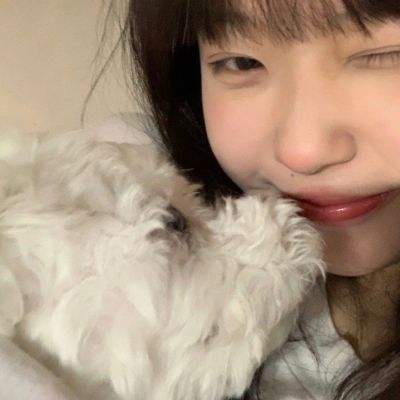 食梦计划破解版下载